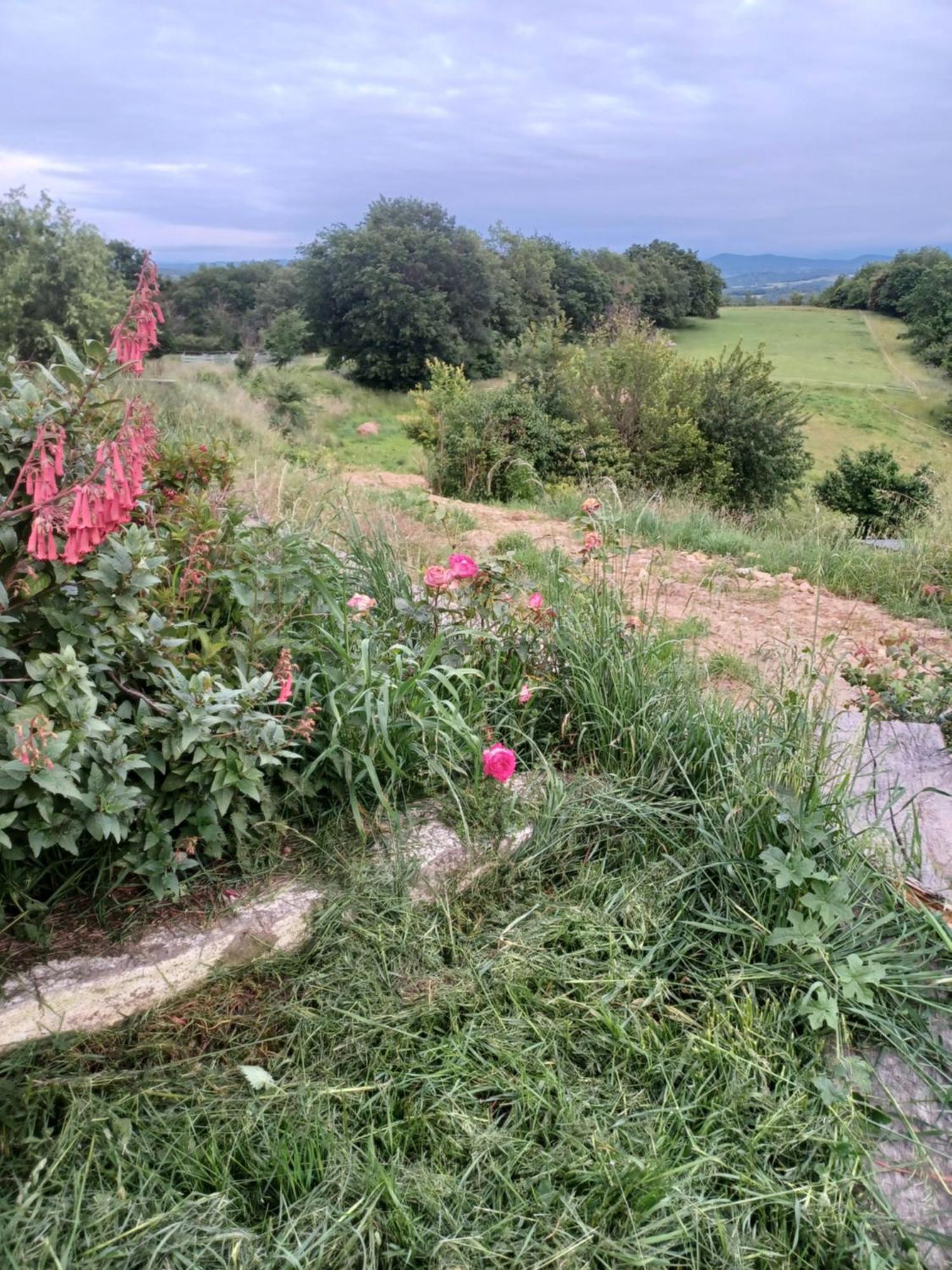 La Biste Villa Mirepoix  Luaran gambar